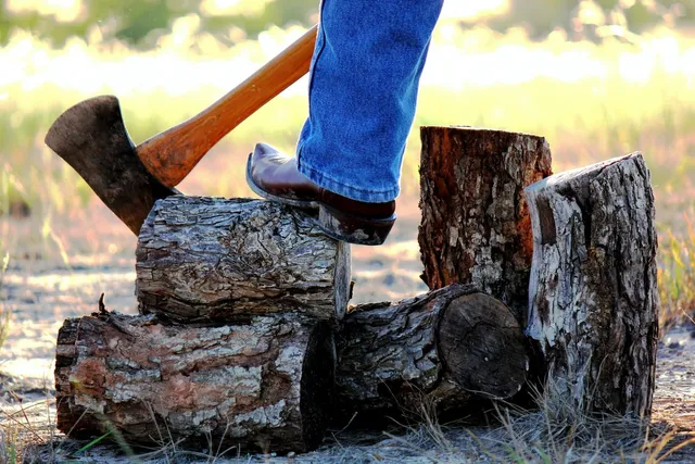 stump grinding maplewood mn