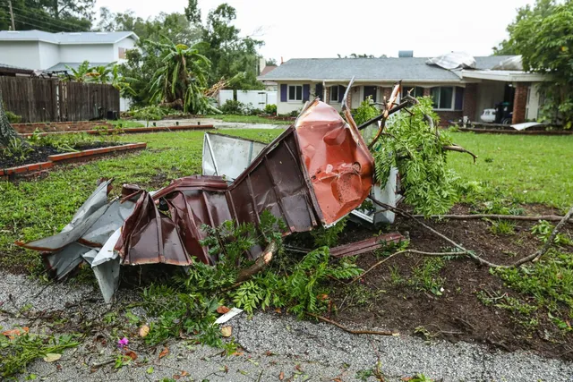 storm clean up maplewood