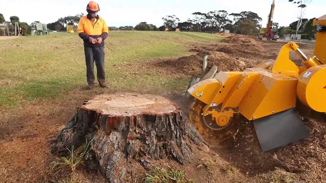 stump removal mn