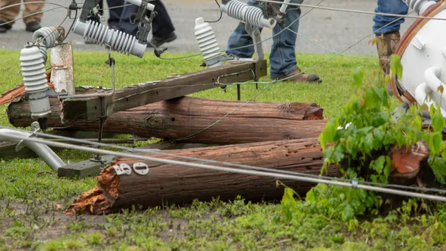 Storm Cleanup maplewood